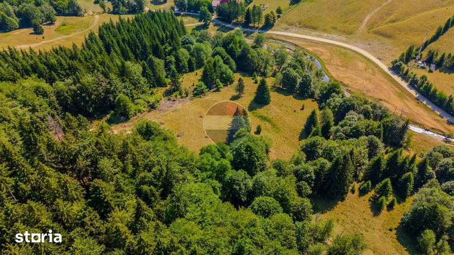 Teren 6000 mp, Valea Dalghiului - Vama Buzaului - vedere catre Ciuca? - 9