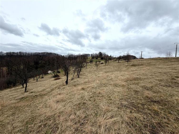 Teren agricol extravilan de 34000 mp, în Șerani