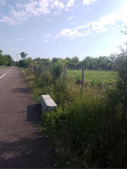Teren de 1000 mp, în Măicănești