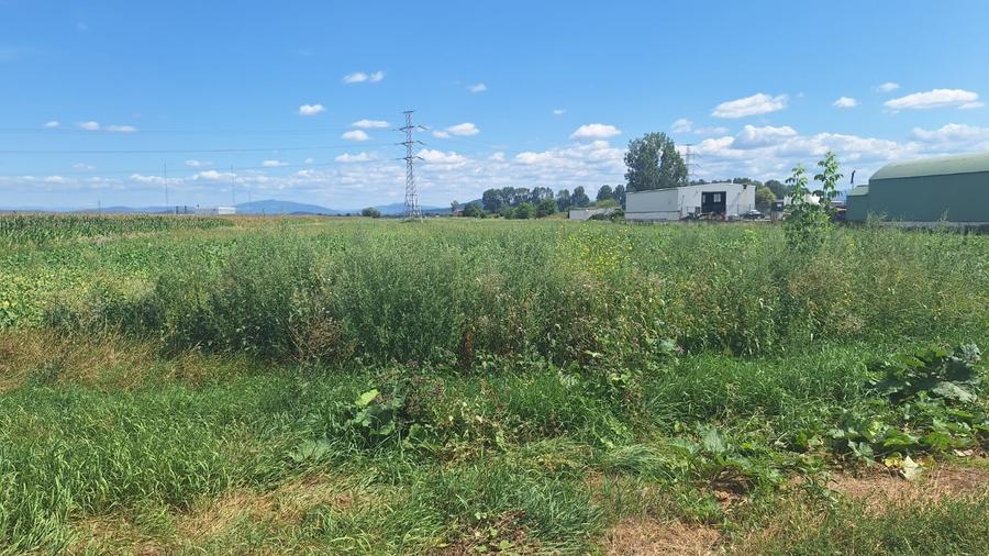 Teren Construcții intravilan de 1.5 mp, în Hălchiu
