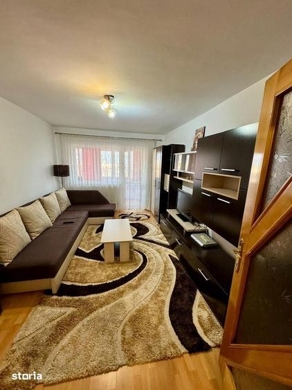 Apartament cu 2 camere de inchiriat in zona Cetate Alba Iulia - 6