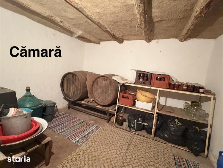 Casă cu 6 camere cu Teren 1031 Mp în Șoldanu