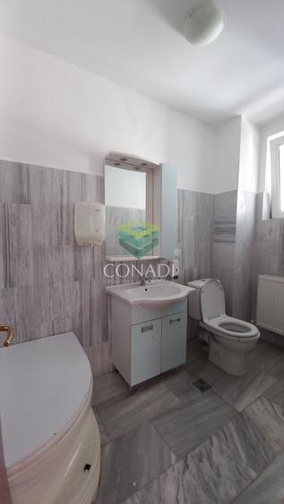 Casă individuală cu 10 camere cu Canalizare în Băneasa