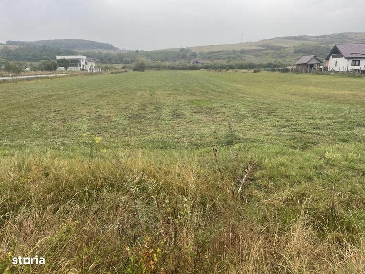 Teren intravilan, parcelabil, Str Zavoaie toate utilitatile 10000 euro - 2
