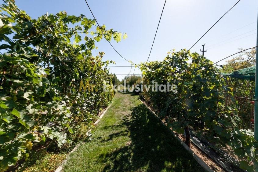 Casă individuală cu 6 camere cu Canalizare în Dârmănești