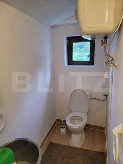 De vanzare casa de 135 mp si 5 hectare de teren, langa Deva - 7