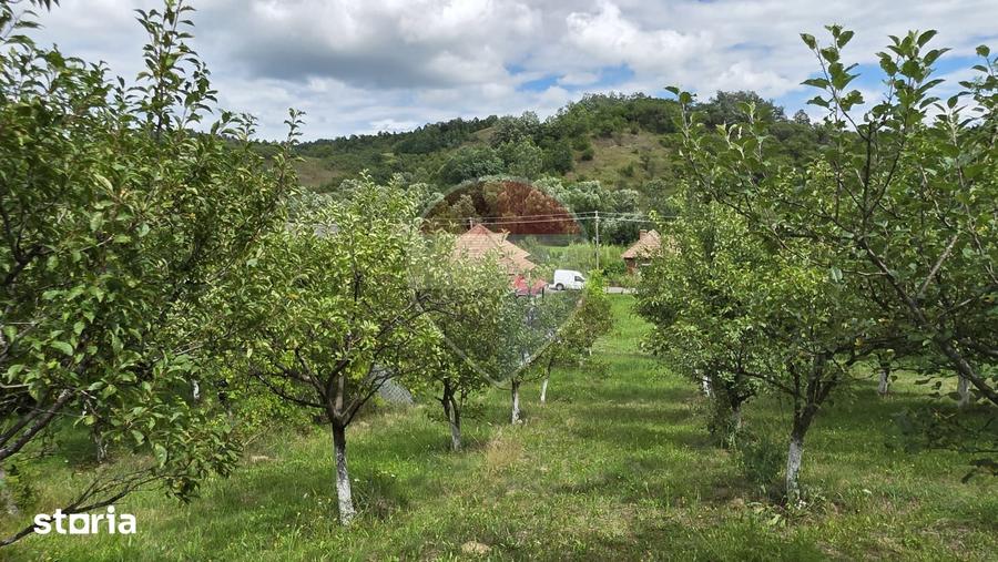 Casă cu 2 camere cu Teren 2800 Mp în Elciu