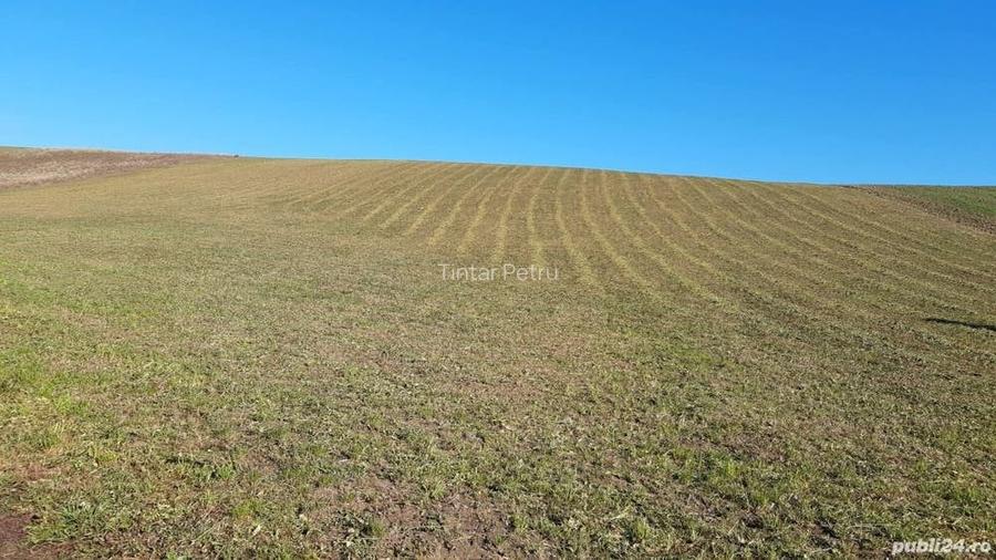 Vand teren extravilan, Sacareni, Ernei, Mures