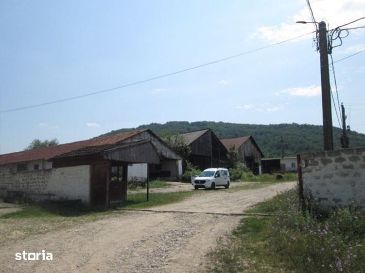 Teren agricol de 12 579 mp si contructii 5 161 mp - 4