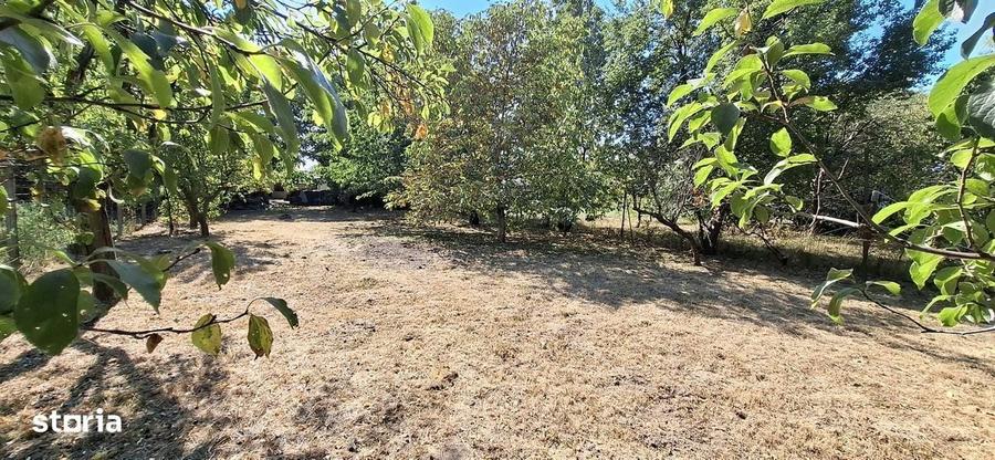 Casă cu 3 camere în Central