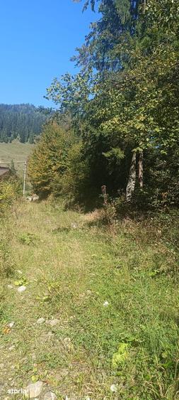 Teren de 5000 mp, în Ceahlău