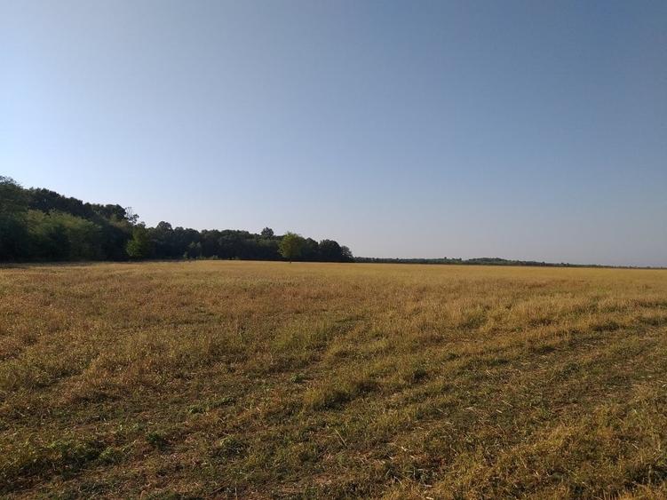 Teren agricol extravilan de 270000 mp, în Bâldana
