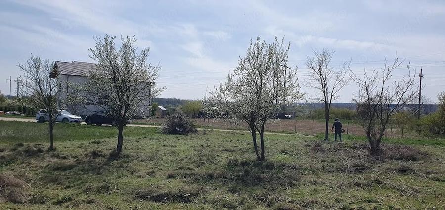 Teren de 500 mp, în Mărăcineni