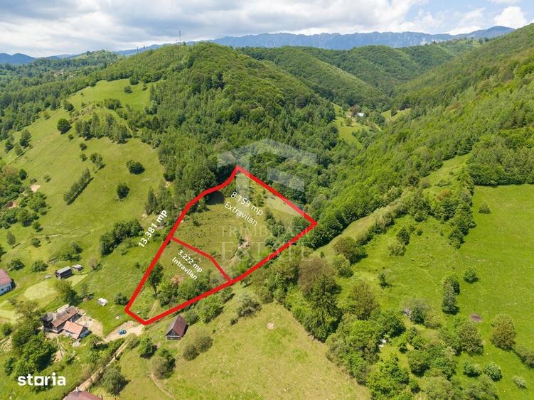 Spațiu comercial, în Moieciu