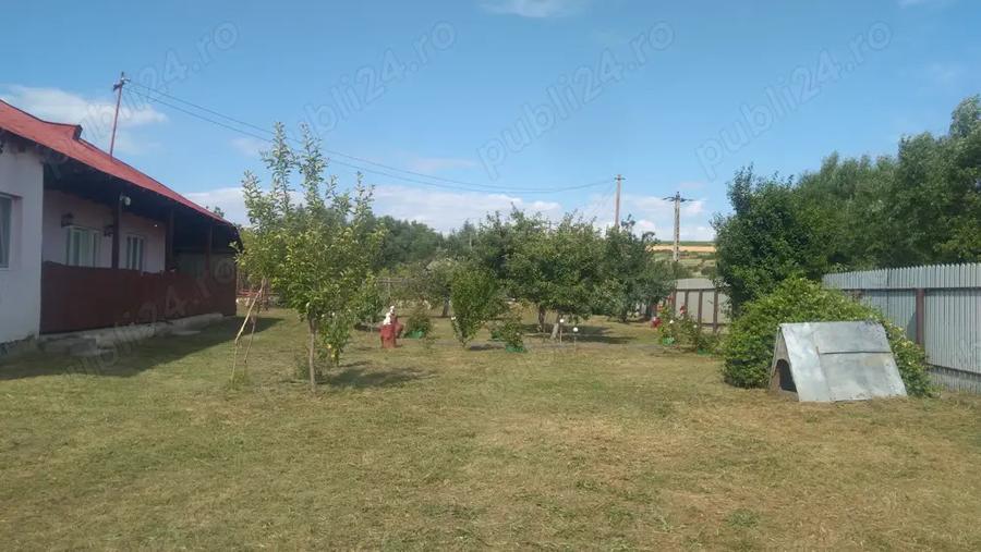 Casa de vanzare in Podu Turcului - 6