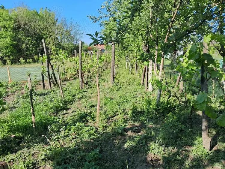 Casă cu 4 camere cu Teren 1870 Mp în Mânăstire