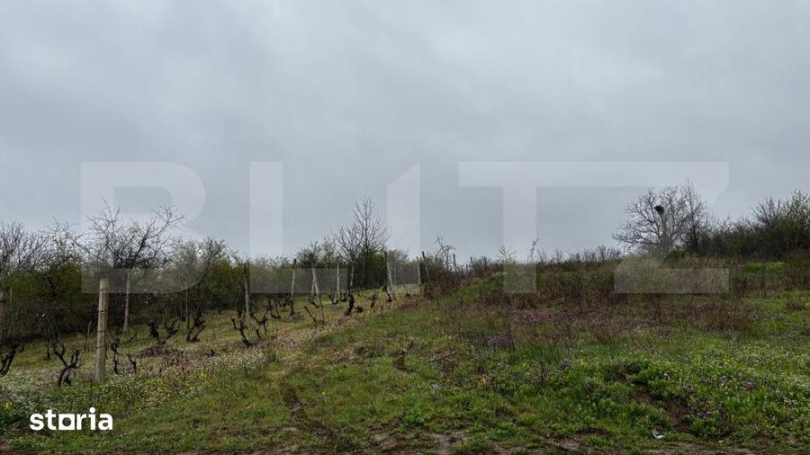 Teren intravilan 2000 mp, front 16,7 ml, vizibilitate la DN, Carcea - 4