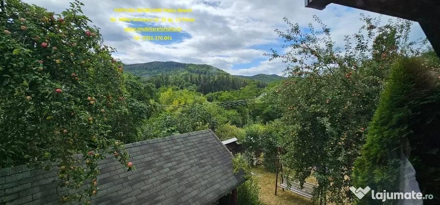 Proprietate deosebita in Almas- Casa P+M,echipata complet, teren 951 m - 11