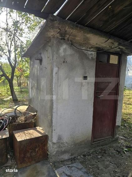 Casă cu 3 camere în Viișoara