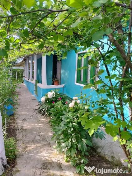 vind casa 4 camere locuibile - 2