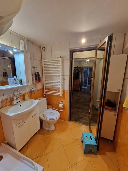 Apartament 2 camere Teiul Doamnei - 5