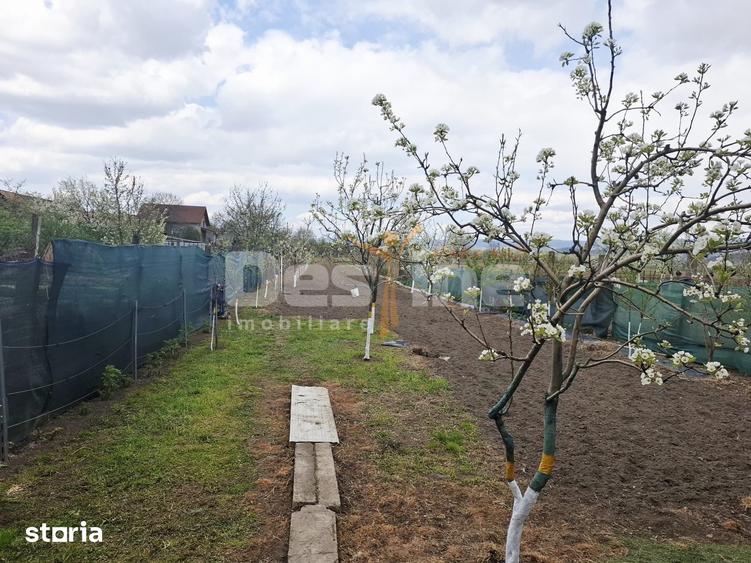 Casă cu 3 camere cu Teren 2121 Mp în Vadu Crișului