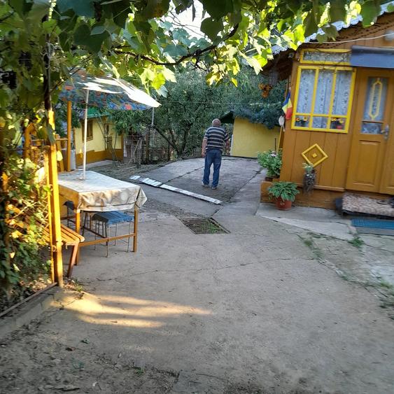 Casă cu 2 camere cu Teren 6700 Mp în Cozia