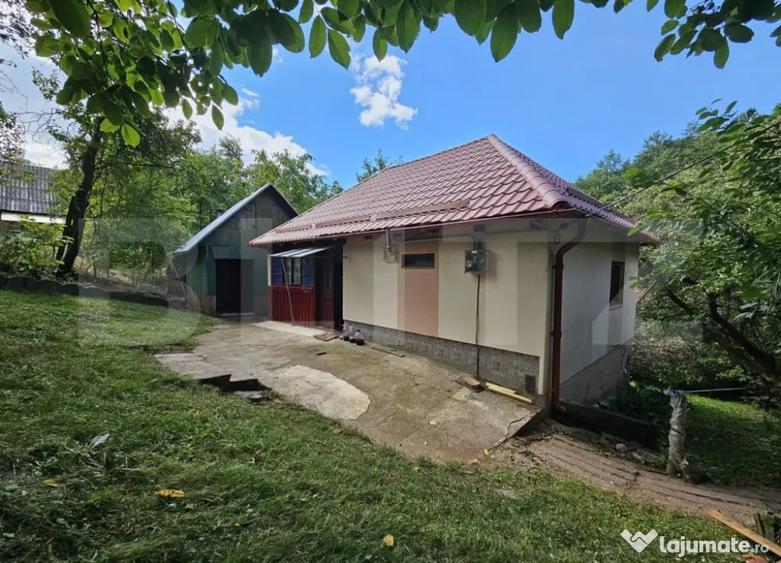 Casă cu 2 camere cu Teren 10000 Mp în Almașu Mare