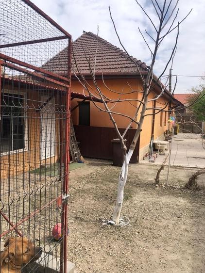 Casă cu 2 camere cu Teren 1400 Mp în Centrul Istoric