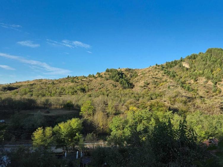 Casă cu 4 camere cu Teren 8000 Mp în Bozioru