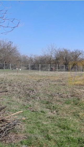 Teren de 2000 mp, în Chiroiu-Pământeni
