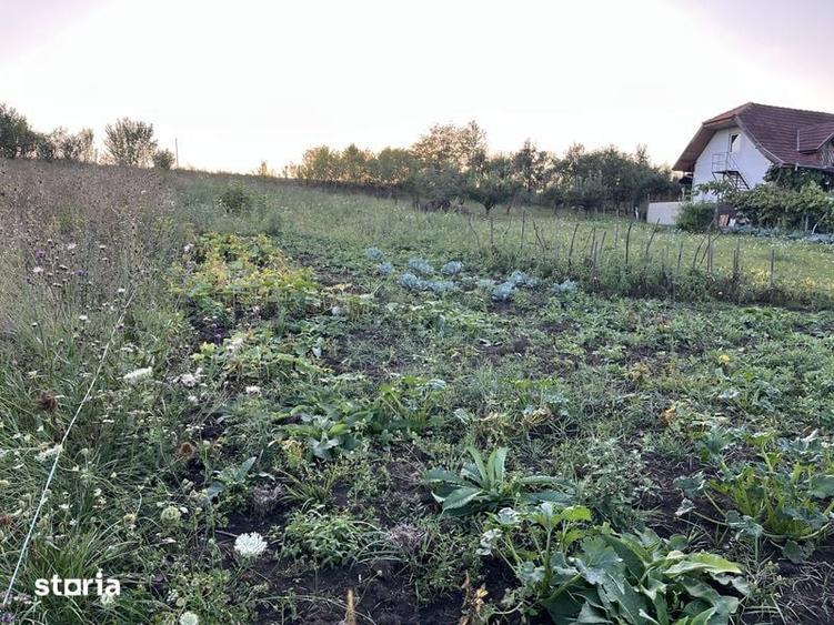 Teren de 1800 mp, în Libertății