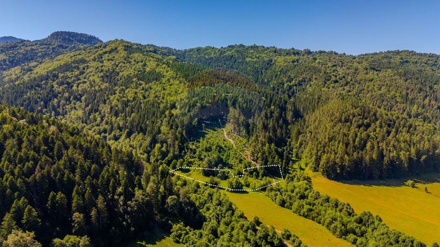 Teren Construcții intravilan de 6000 mp, în Brădet