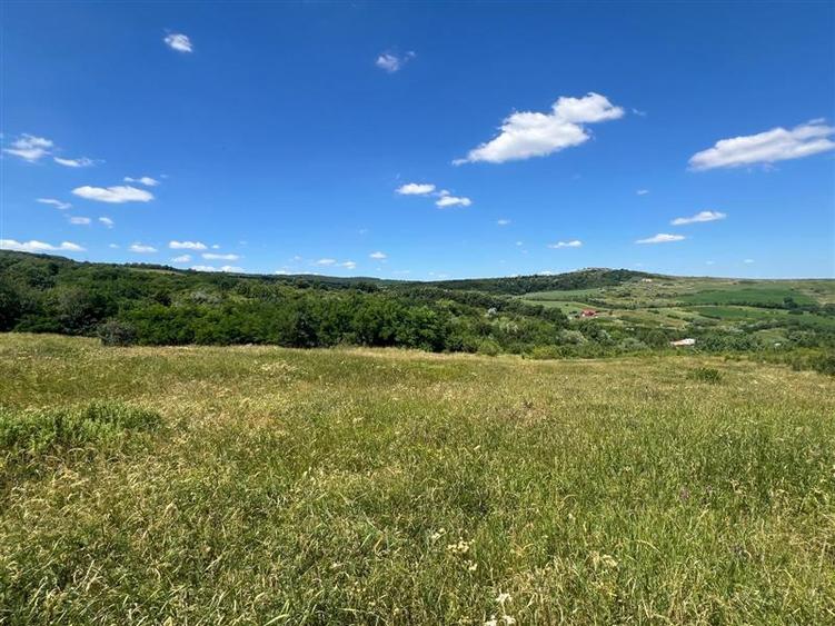 Teren Construcții intravilan de 17475 mp, în Tomești