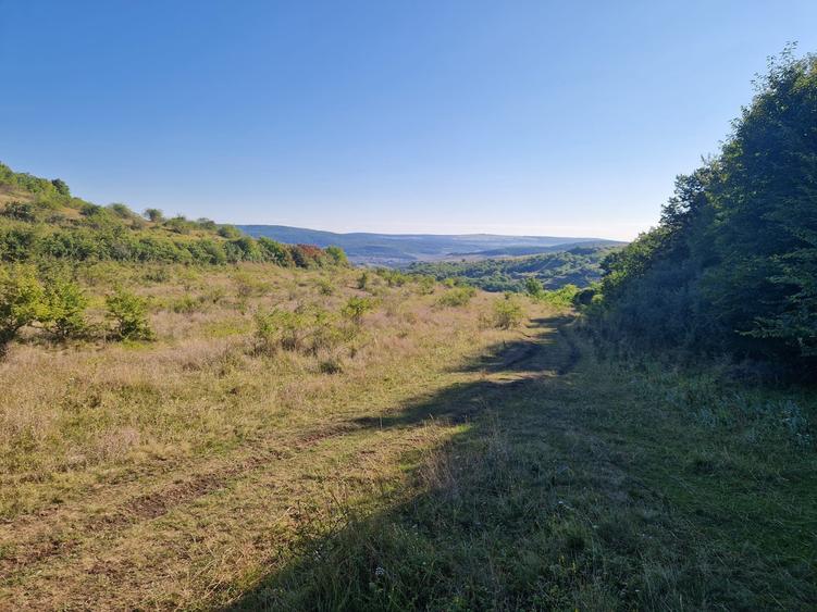 Teren Construcții extravilan de 5800 mp, în Suceagu