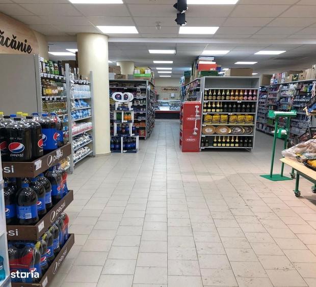Spațiu comercial, de 1,000 mp, în Delfinariu
