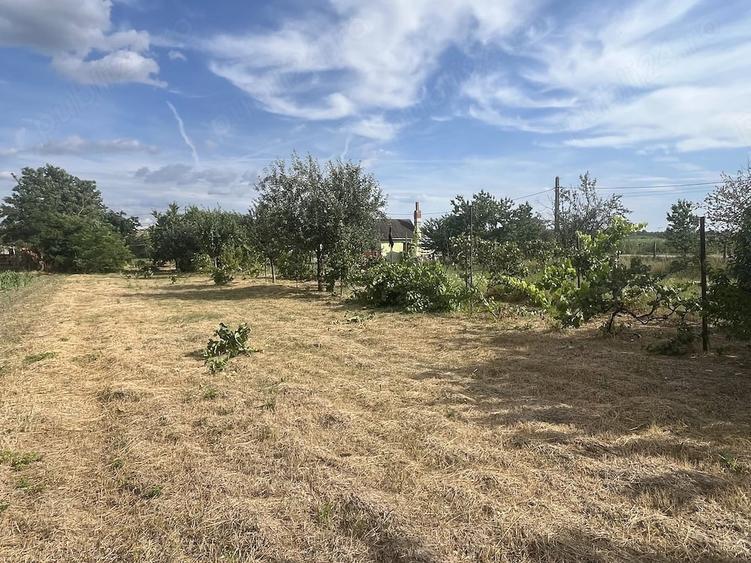 Teren de 1367 mp, în Ianca