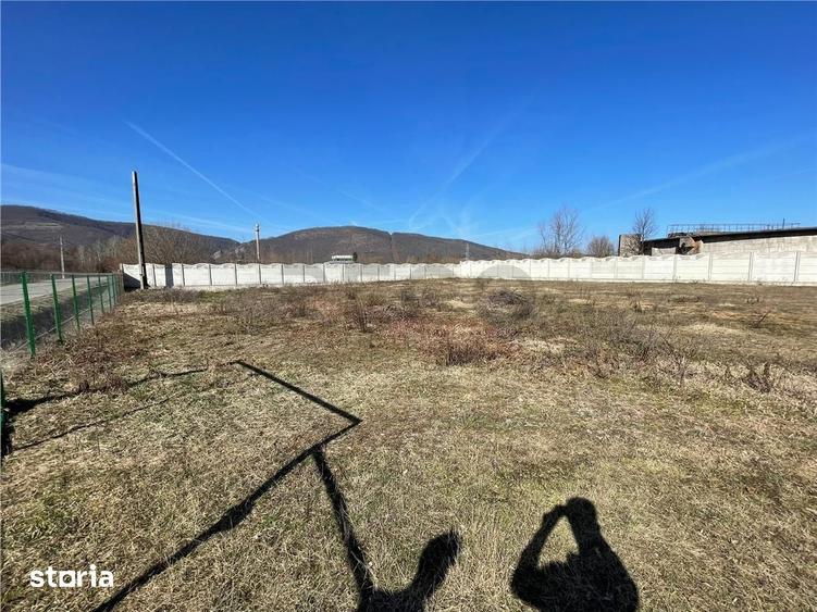 Teren de 2936 mp, în Șuncuiuș