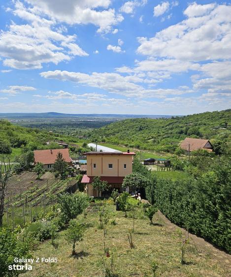 Casă cu 2 camere cu Teren 1035 Mp în Podgoria