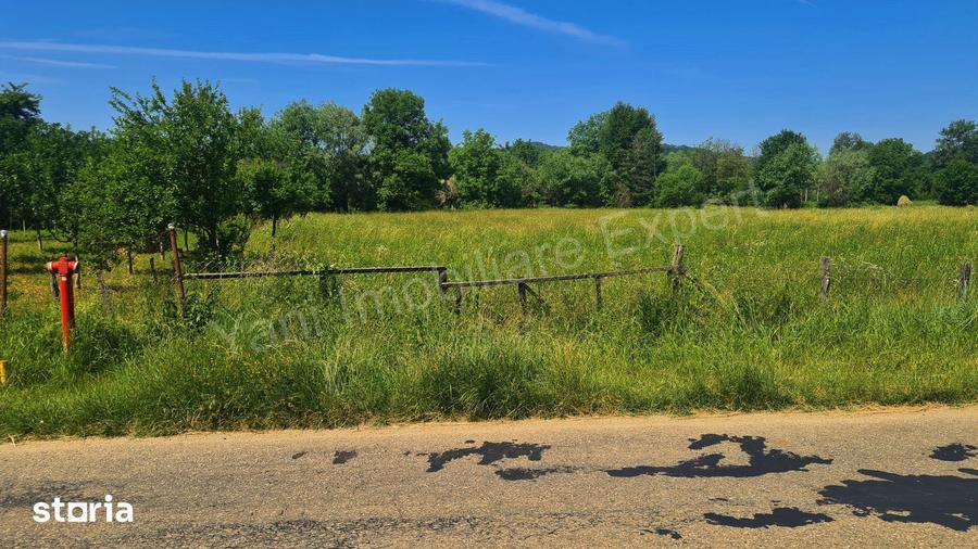 Teren de 2000 mp, în Domnești