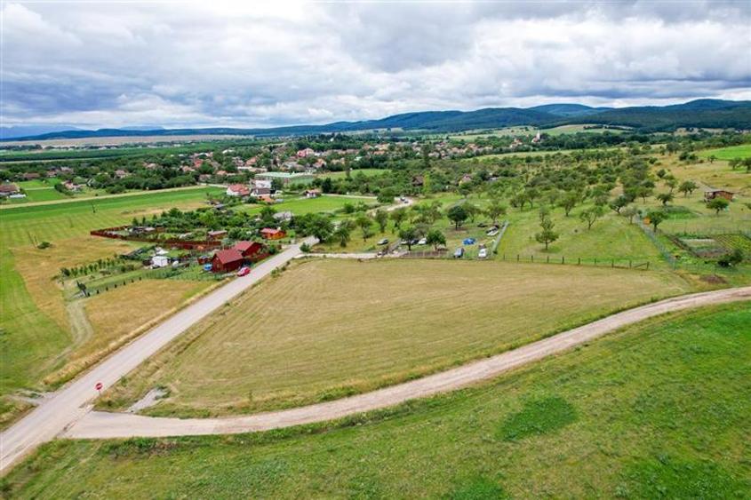 Teren Construcții extravilan de 3800 mp, în Valea Crișului