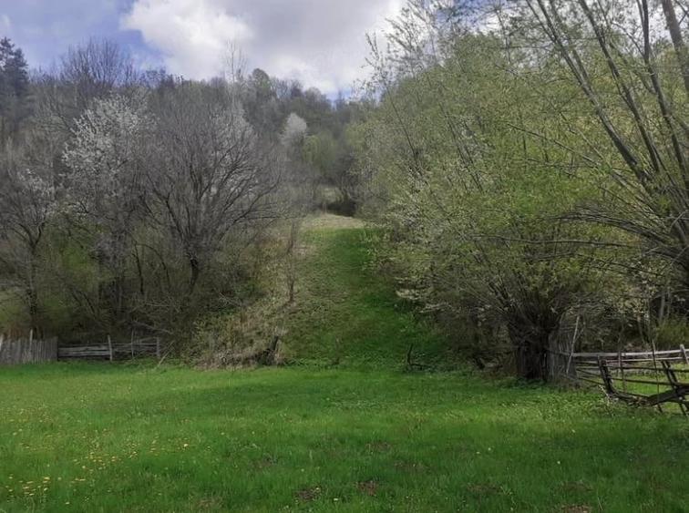 Teren de 4768 mp, în Agăș