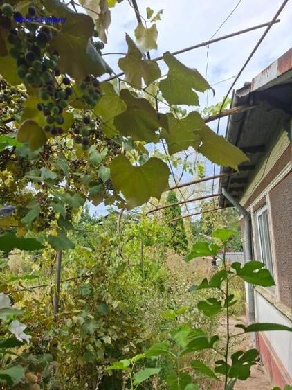 Casă individuală cu 3 camere cu Teren 1847 Mp în Gârbovi