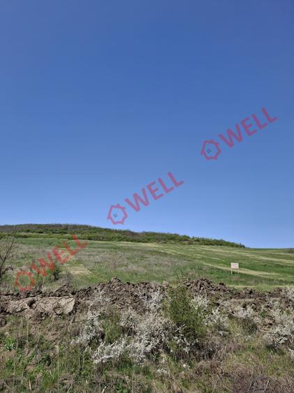 Teren agricol extravilan de 60000 mp, în Agrișteu