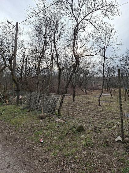 Teren de 1400 mp, în Central