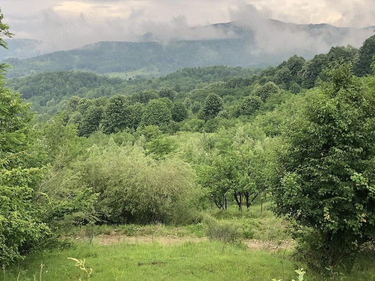 Teren de 5000 mp, în Schiulești