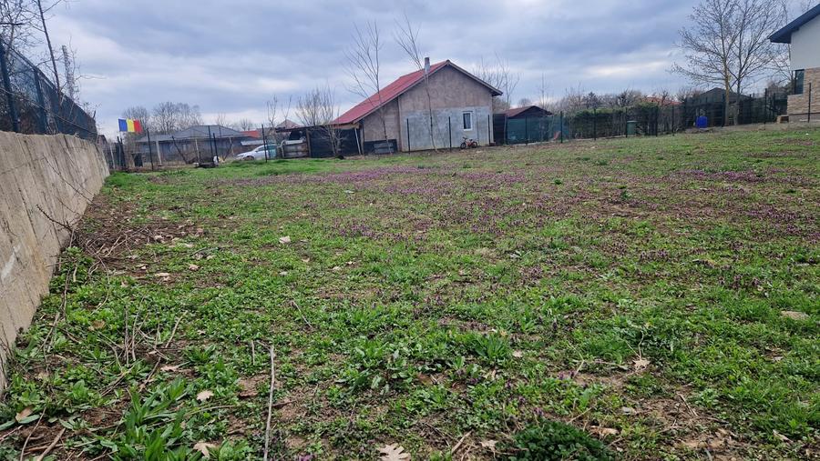 Teren Construcții intravilan de 963 mp, în Snagov