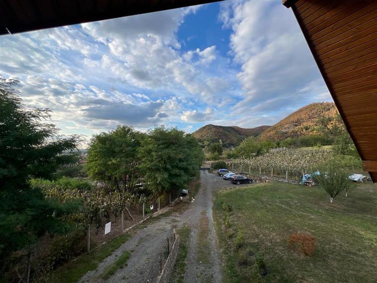 Casă individuală cu 6 camere cu Teren 5700 Mp în Cicârlău