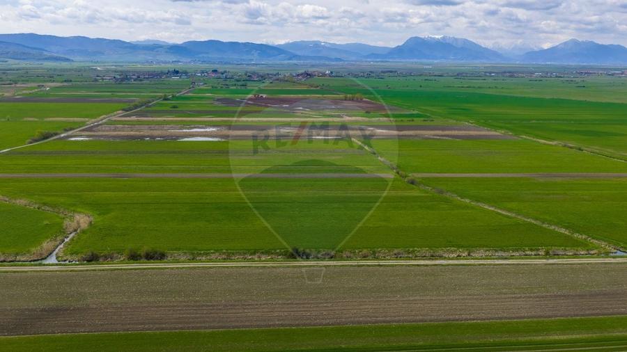 Teren agricol extravilan de 4000 mp, în Stupinii Prejmerului