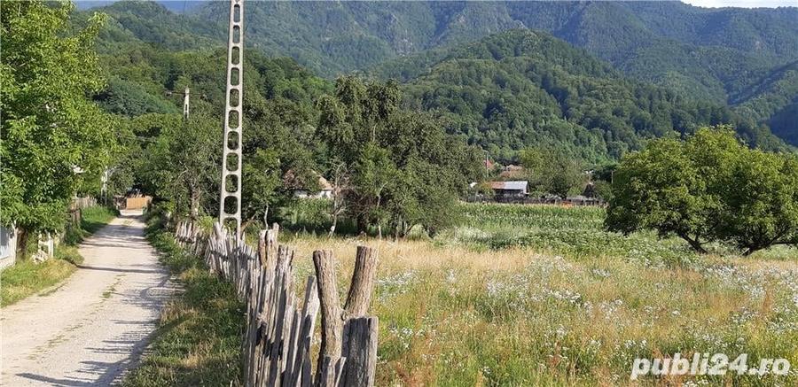 Teren de 4150 mp, în Drăgănești (Brezoi)